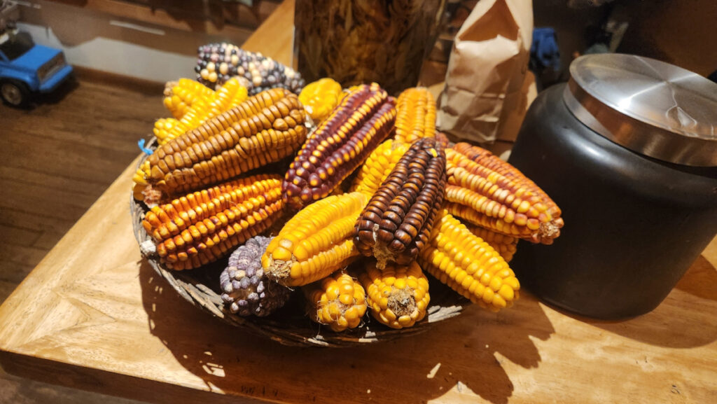 Medley of corn