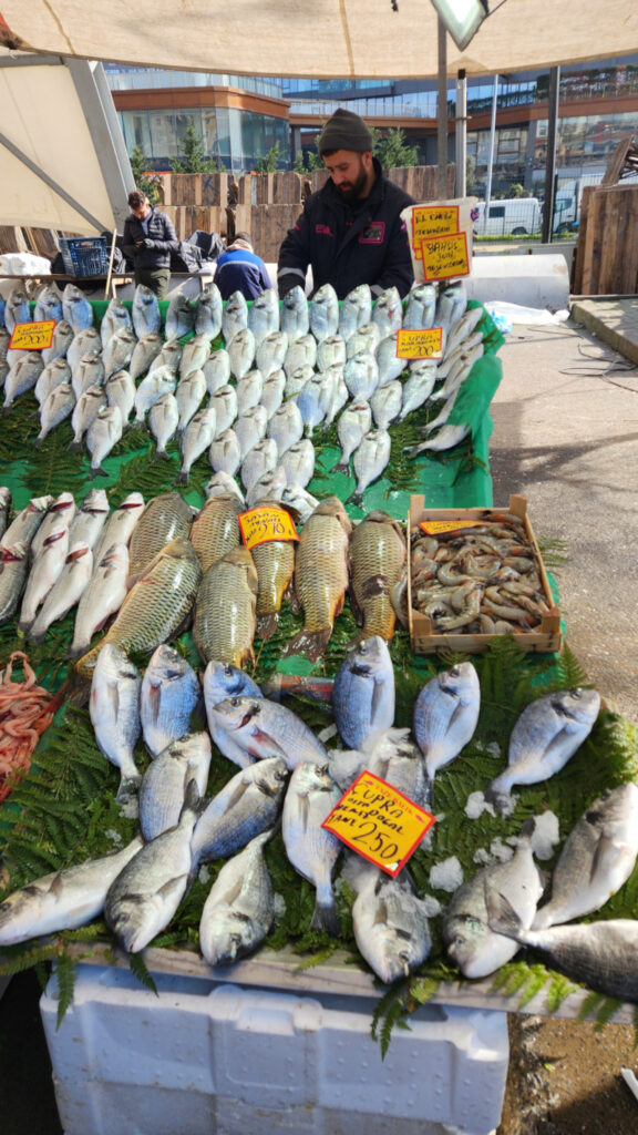 Market in Kadikoy (Asia side) where I bravely photographed my nemesis fish to capture the moment.