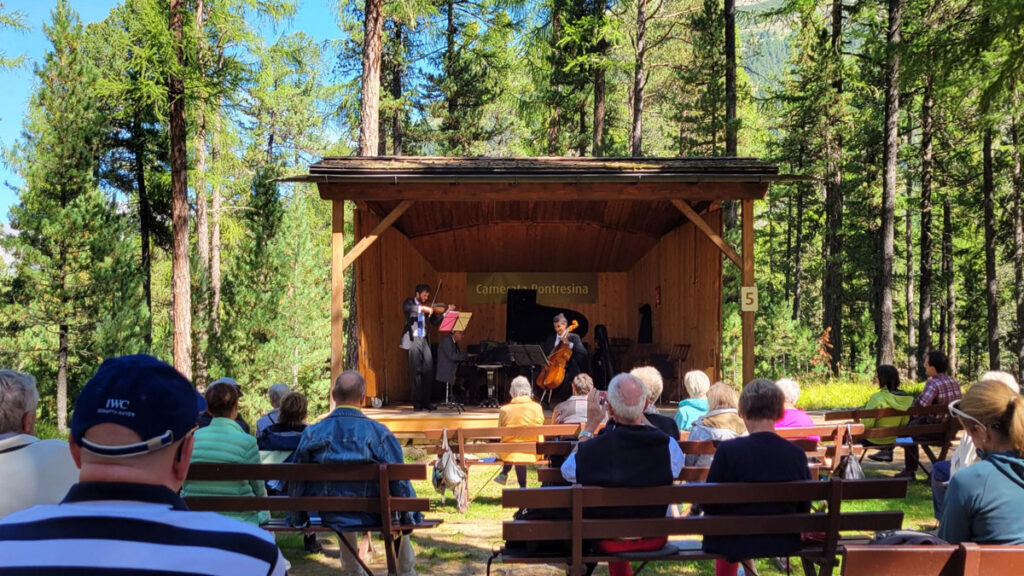 The sweetest concert hall - in the forest!
