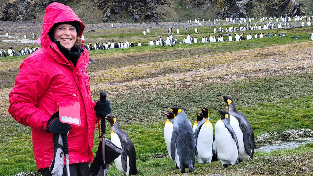 A woman standing in front of a flock of penguins.