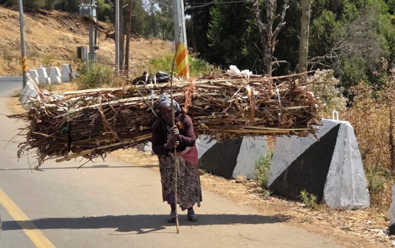 Around the World 2026 Part 1 woman bearing heavy load on Mount Entoto (10,500 feet) just outside Addis Ababa, Ethiopia